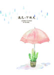 小雨