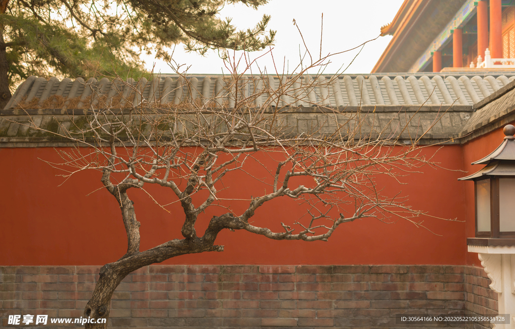 户外复古红色城墙庭院