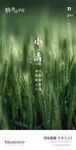 医美小满节日海报