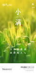 医美小满节日早安图