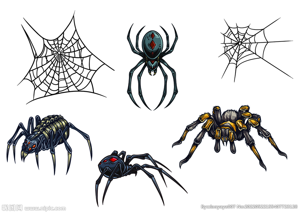 多款蜘蛛和网矢量图