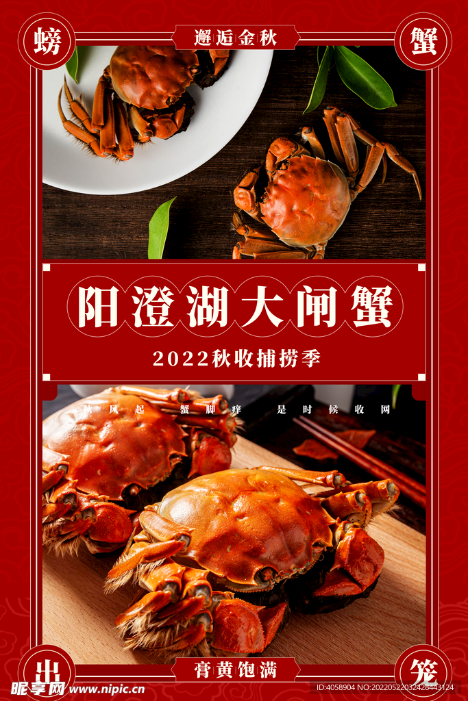 大闸蟹