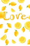 柠檬love水彩挂画装饰画