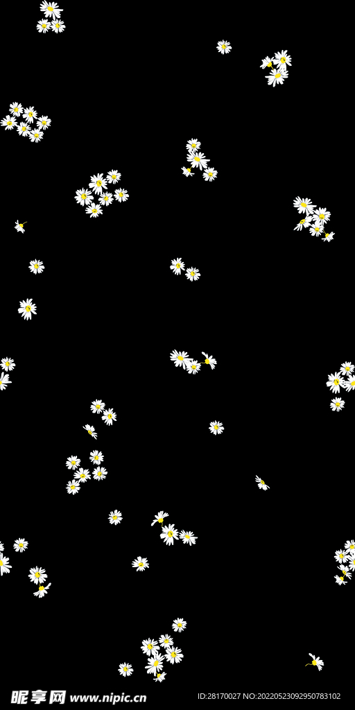 花卉