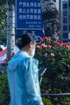路边花