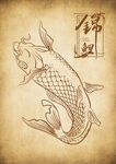 锦鲤