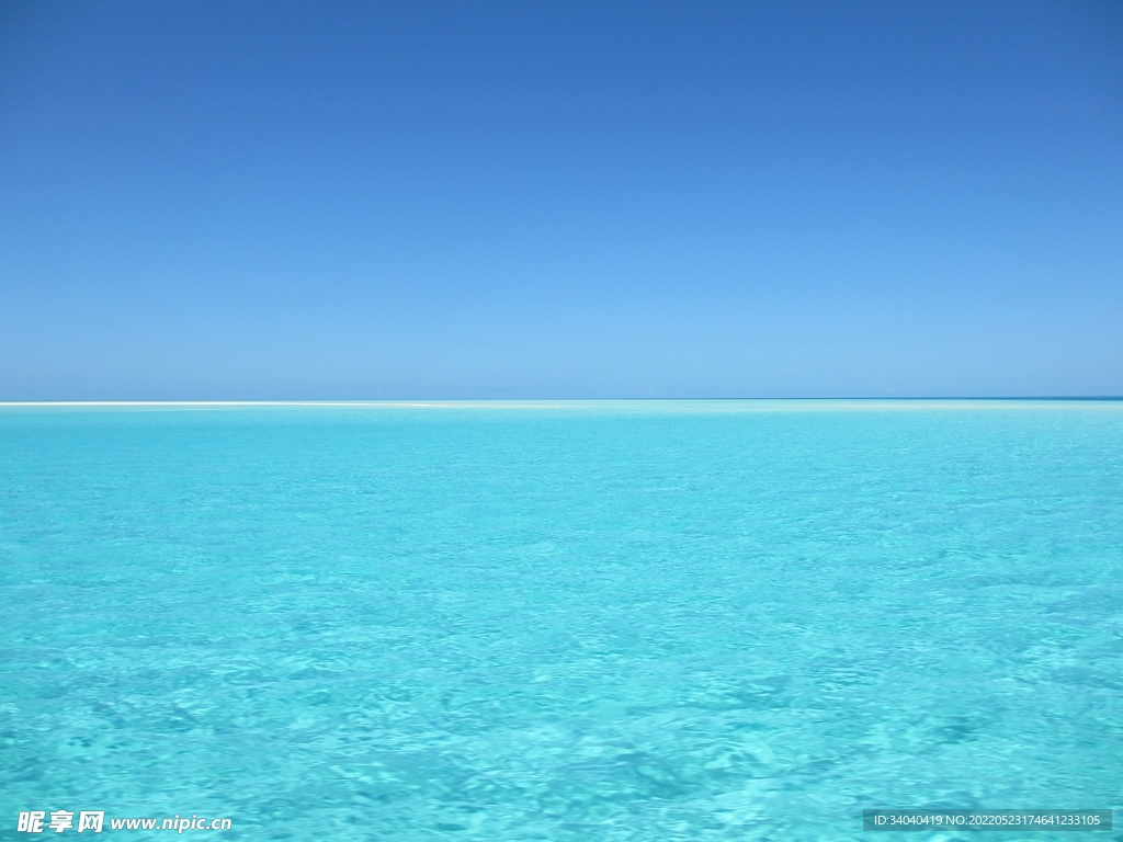 大海