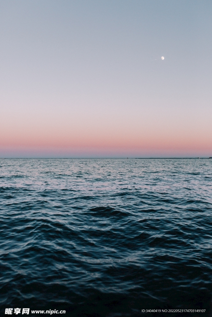 大海