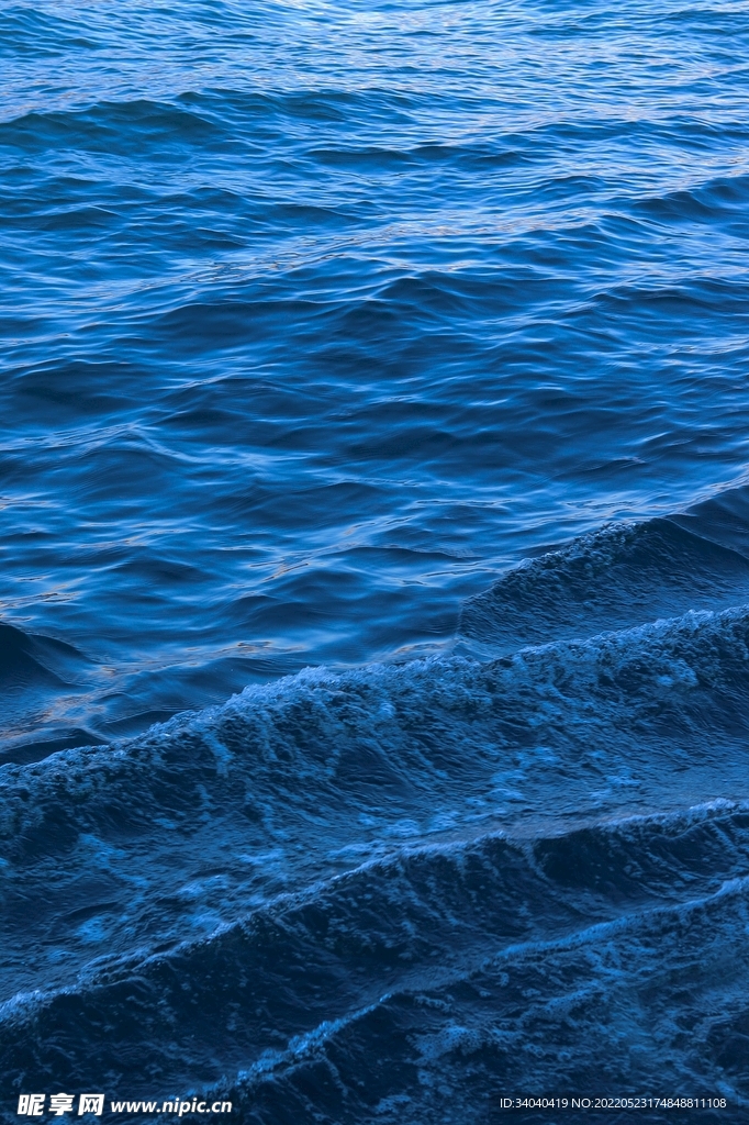 大海