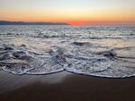 大海