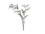 植物枝干3d模型