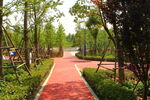 公园