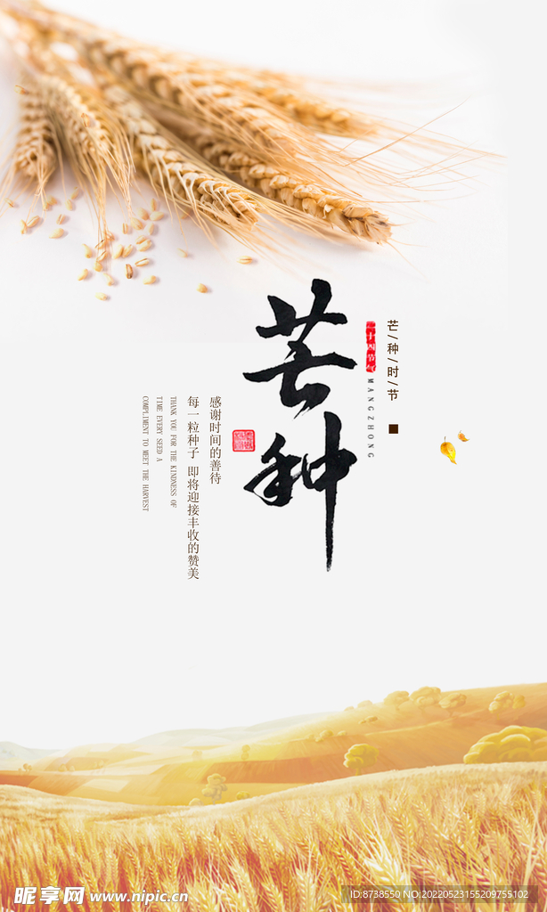 芒种海报 