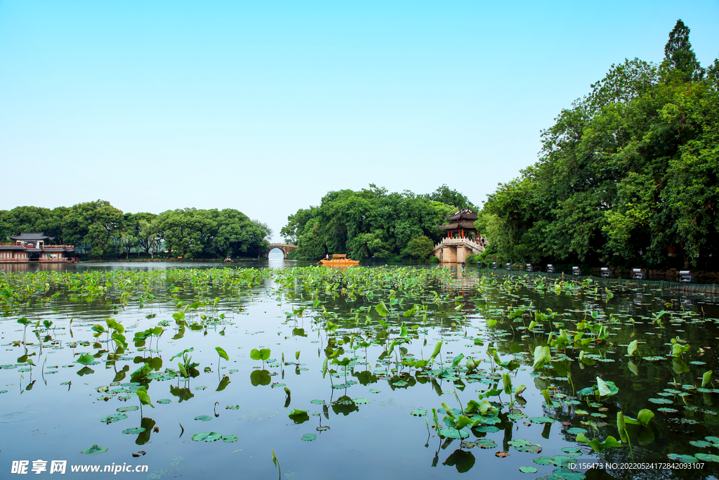 西湖风景