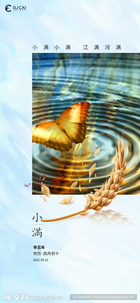 小满节气海报