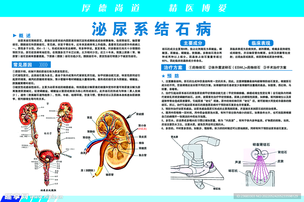 结石病科普海报