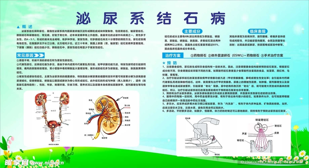 结石病科普海报