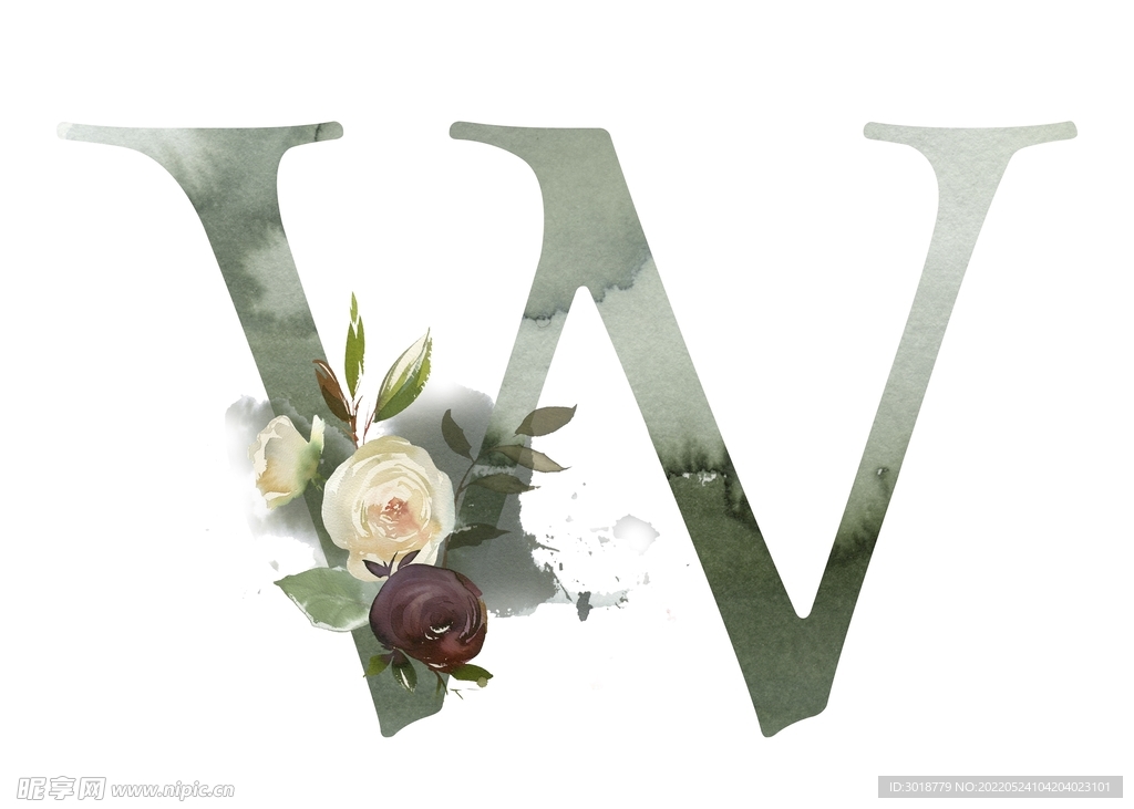 英文字母W