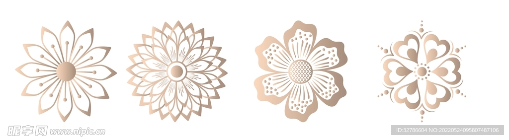 花纹 
