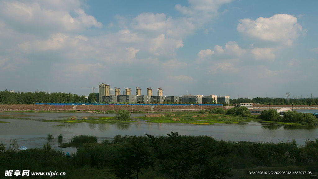 伊河湿地