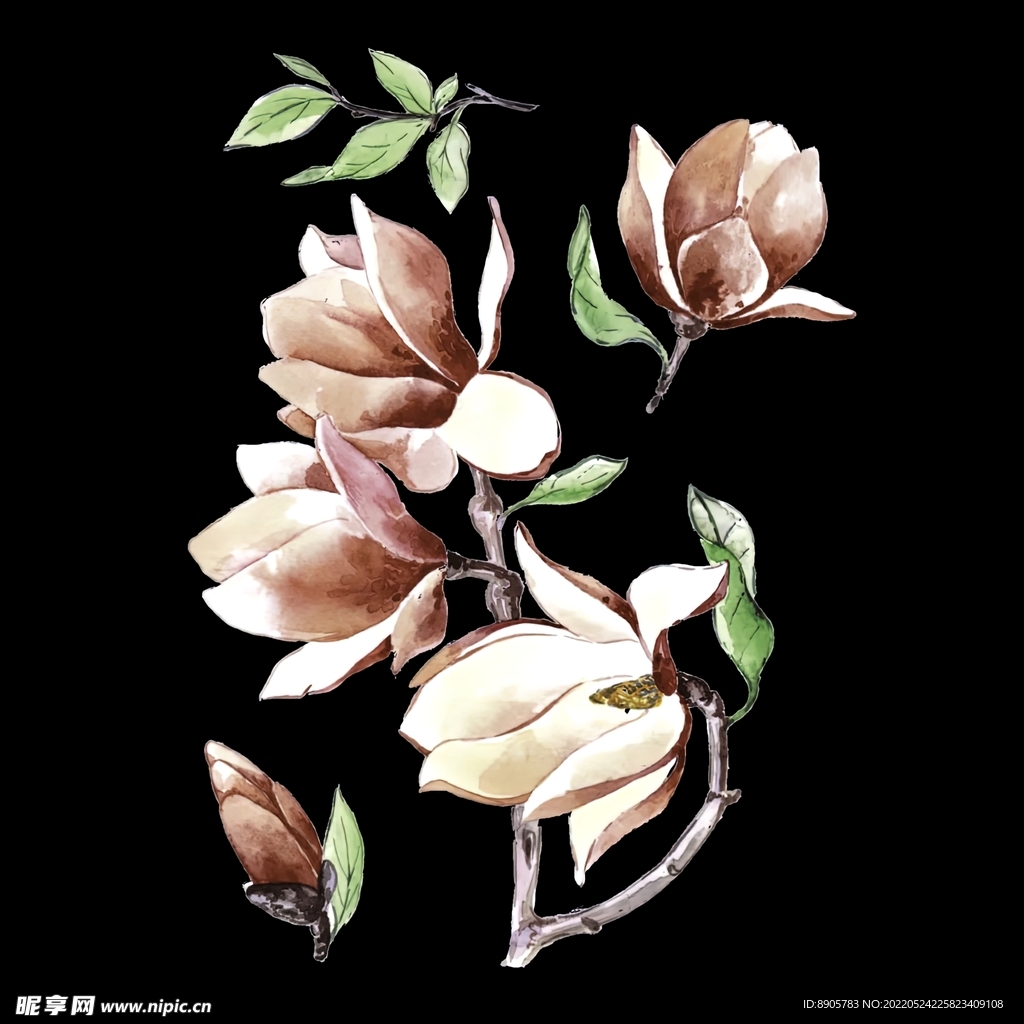手绘花