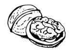 核桃