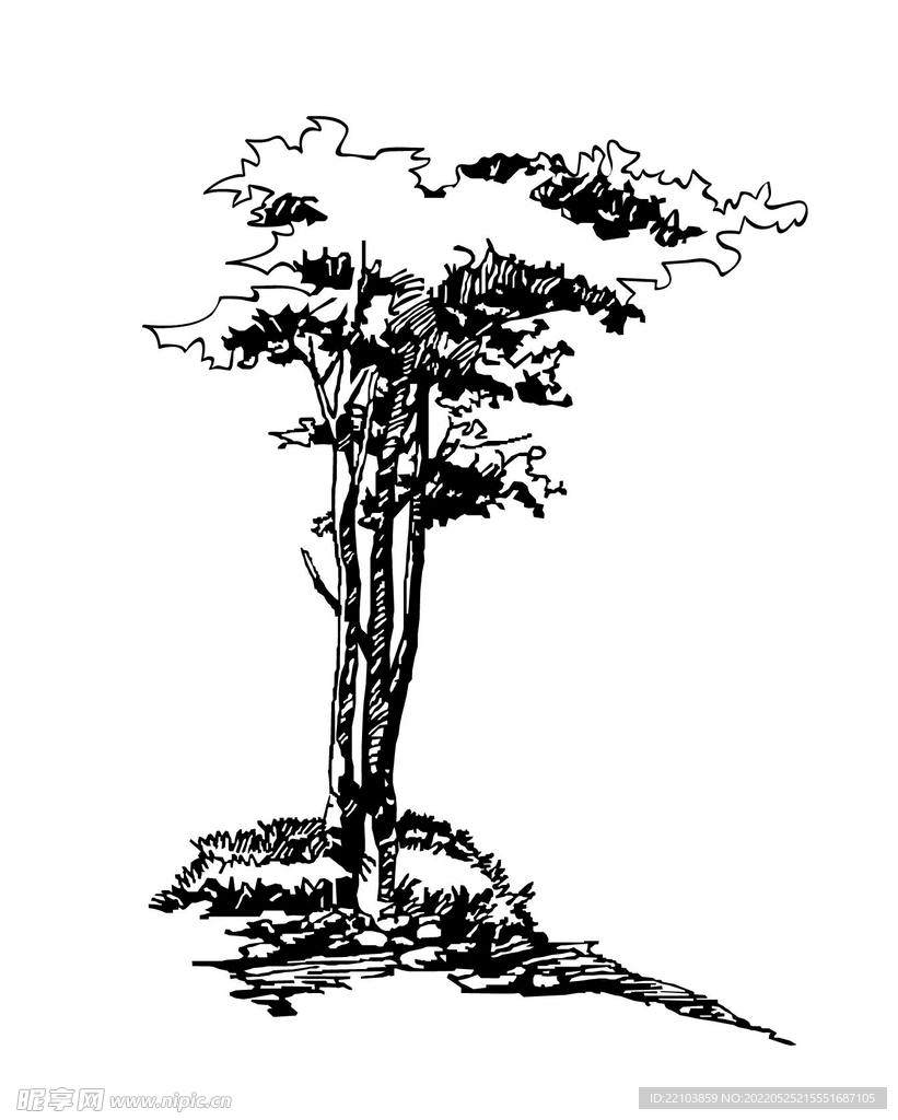 一棵树
