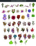 多款花朵植物装饰矢量图