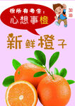高考橙子宣传语
