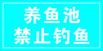 钓鱼