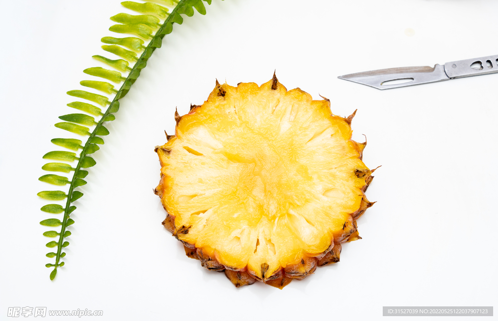 热带水果菠萝摄影图 
