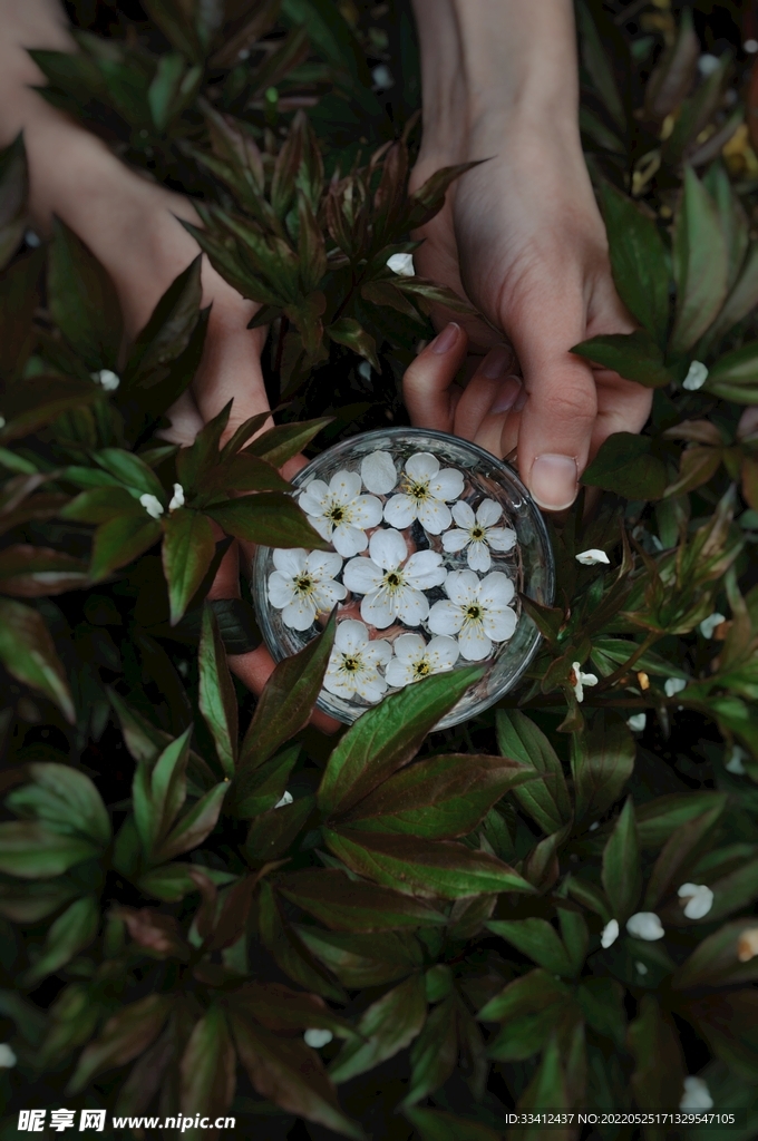 花
