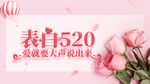 520表白日