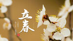 立春节气横banner