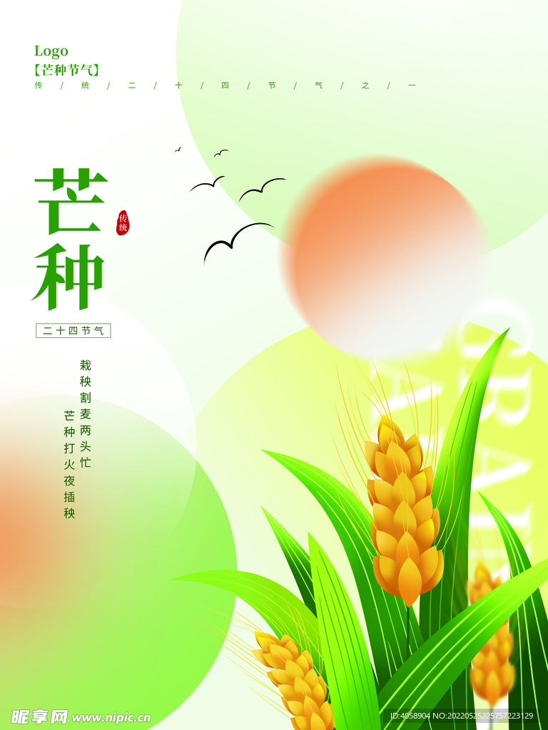 芒种