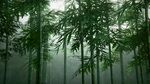 竹子三维效果图