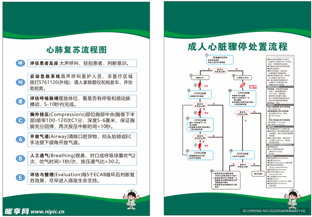 心脏复苏流程