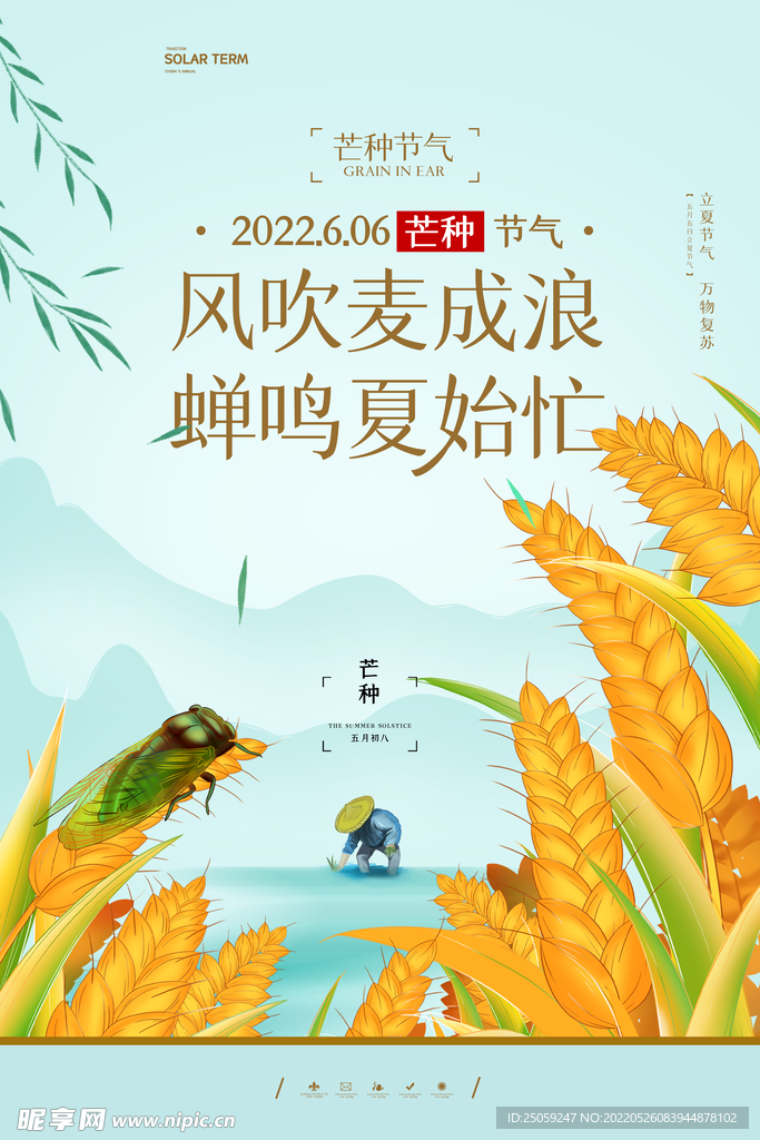 芒种
