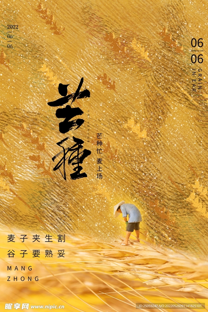 芒种