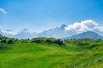 山