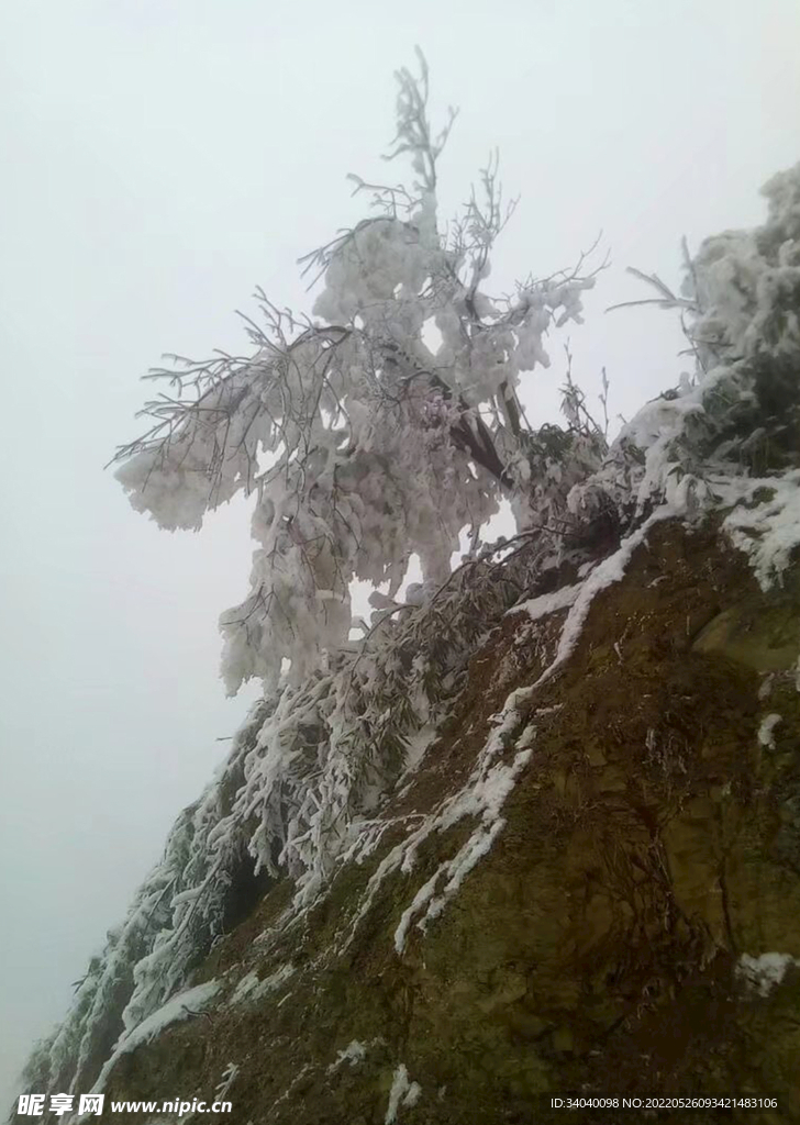 雪