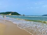 大海