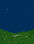 星空下的草地