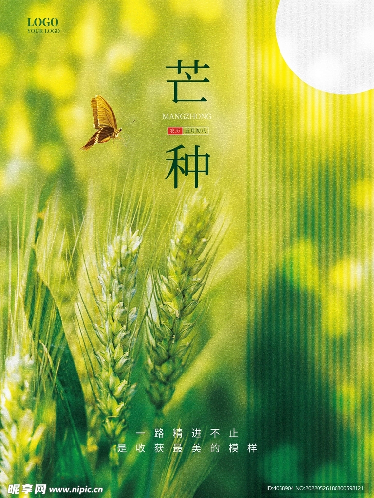 芒种