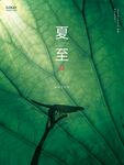 夏至