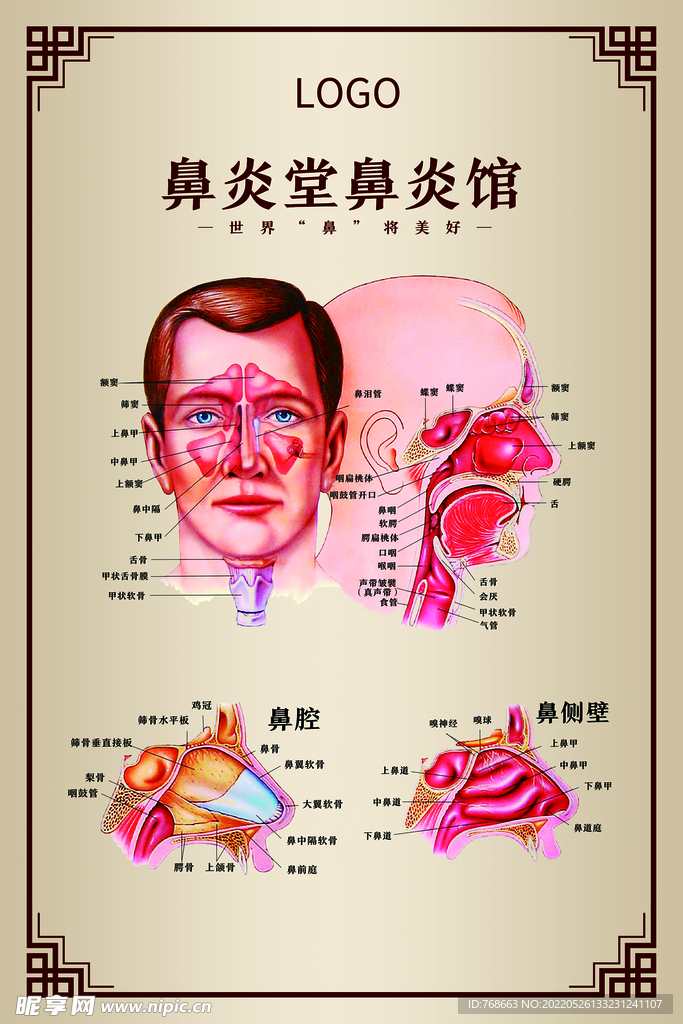 鼻炎部位结构图海报