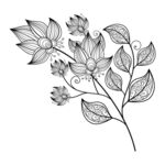 欧式花纹