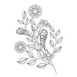 欧式花纹