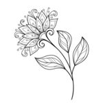 欧式花纹