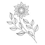 欧式花纹